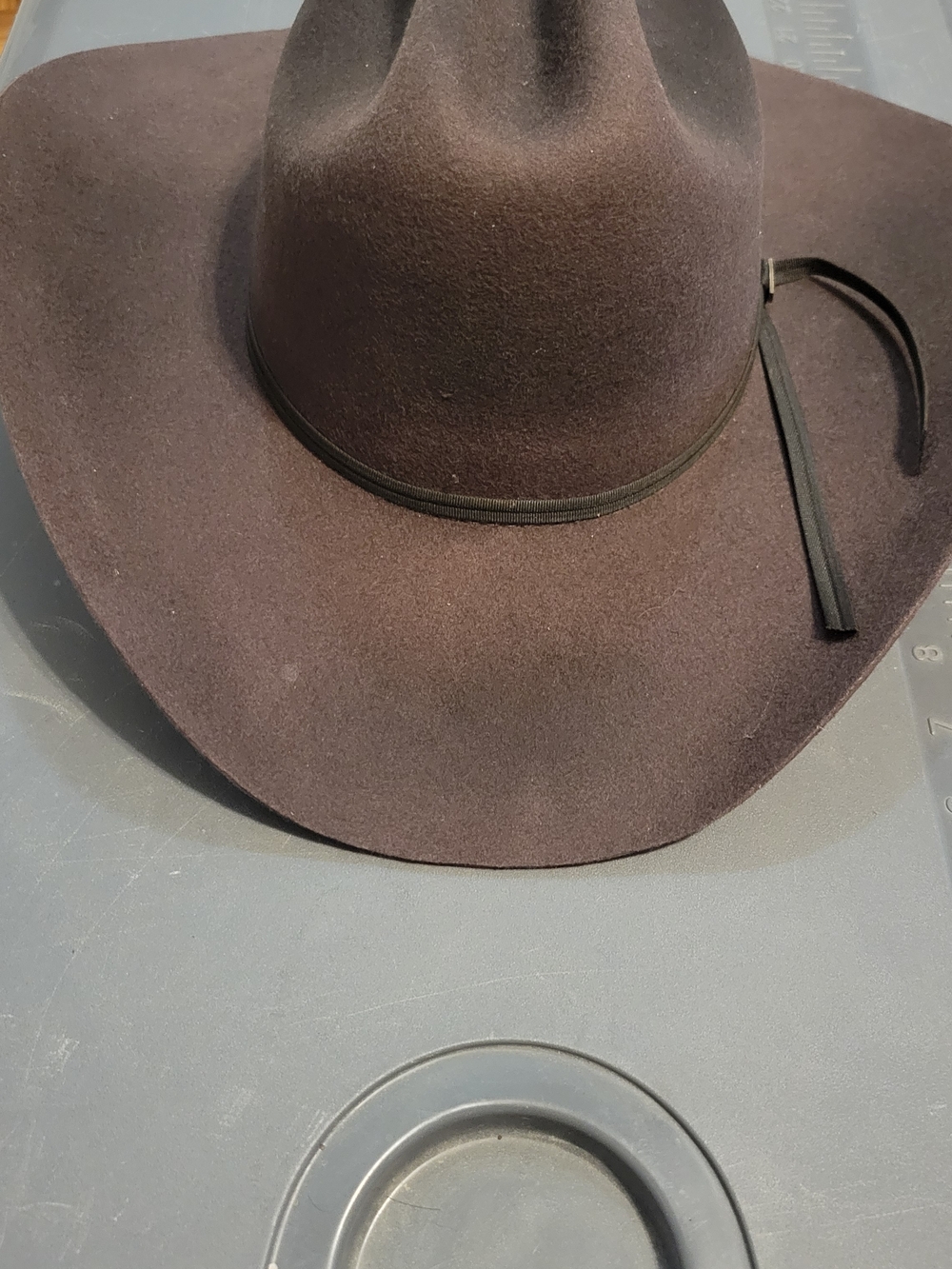 Women's Brown Felt Wide-Brim Hat